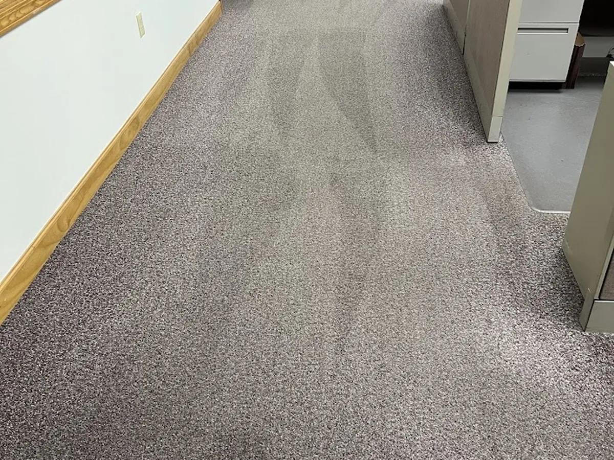 Office hallway carpet after commercial cleaning