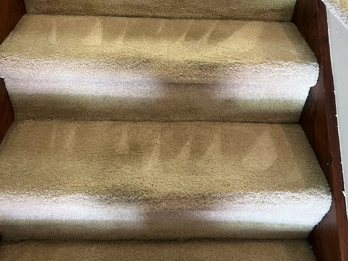 Carpeted staircase after hot-water extraction with clean pile showing